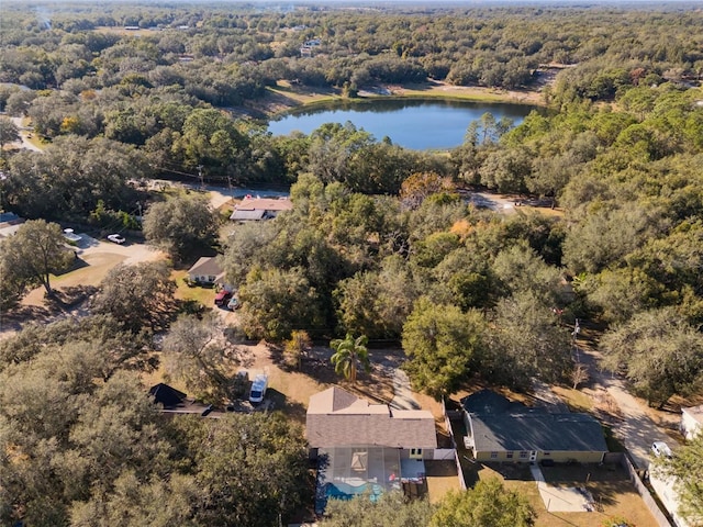 40140 Palm St, Lady Lake, FL 32159 - aerial overview of property's location featuring a heavily wooded area and a large body of water