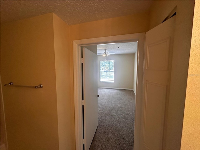 5560 Metrowest Blvd Unit 3-204, Orlando, FL 32811 - hallway with a textured ceiling, carpet floors, and baseboards