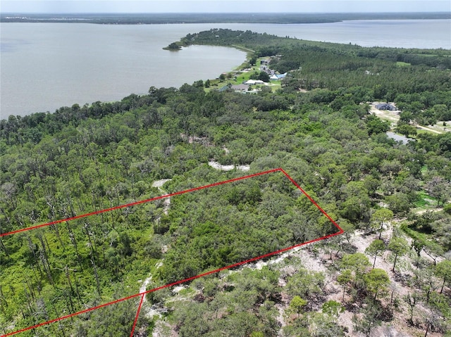 0 Treasure Island Rd, Leesburg, FL 34748 - photo 3