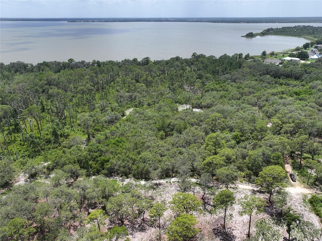 0 Treasure Island Rd, Leesburg, FL 34748 - photo 8