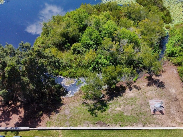 605 Black Eagle Dr, Groveland, FL 34736 - photo 48