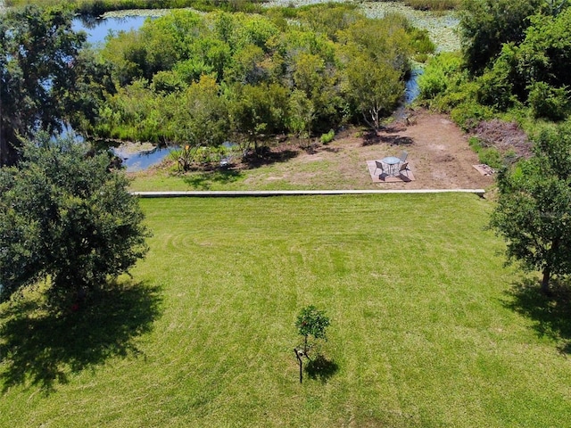 605 Black Eagle Dr, Groveland, FL 34736 - photo 1