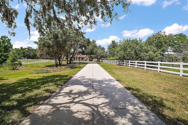 21206 Canoe Pass St, Clermont, FL 34715 - view of yard