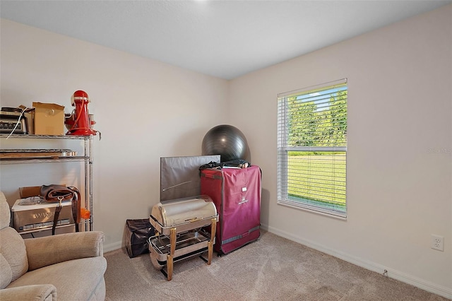 12952 Del Lago Dr, Astatula, FL 34705 - misc room with baseboards and carpet flooring