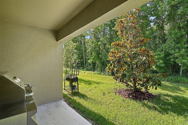 12952 Del Lago Dr, Astatula, FL 34705 - view of grassy yard