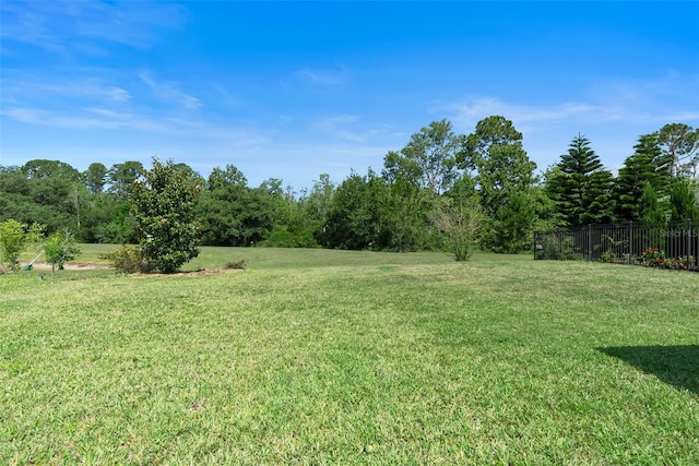 17112 Goldcrest Loop, Clermont, FL 34714 - view of yard