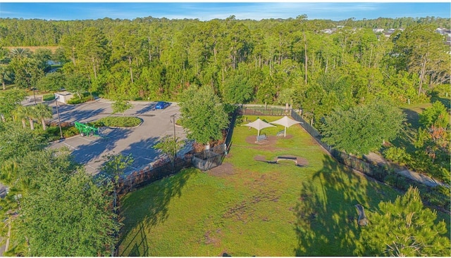 17112 Goldcrest Loop, Clermont, FL 34714 - drone / aerial view of a forest