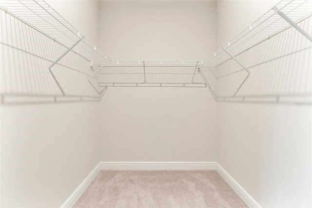 17112 Goldcrest Loop, Clermont, FL 34714 - walk in closet with carpet floors