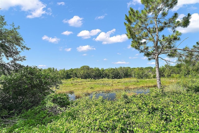 440 Bellissimo Pl, Howey In The Hills, FL 34737 - view of woods featuring a water view