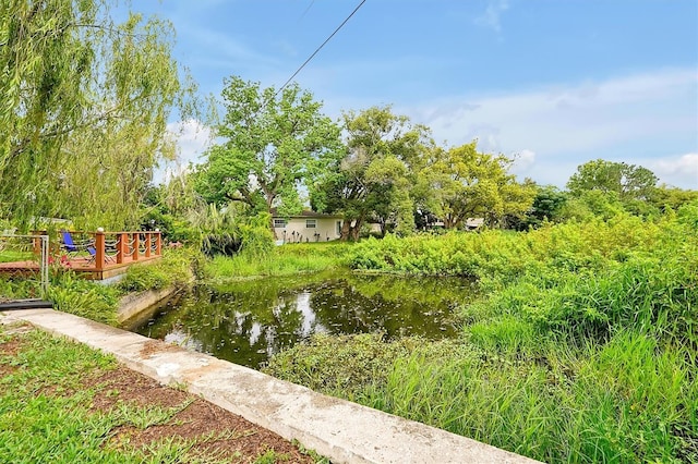 2007 Mosher Dr, Orlando, FL 32810 - view of yard
