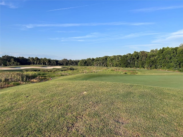 3817 Miragalia Ln, The Villages, FL 32163 - view of home's community featuring a yard, golf course view, and view of wooded area