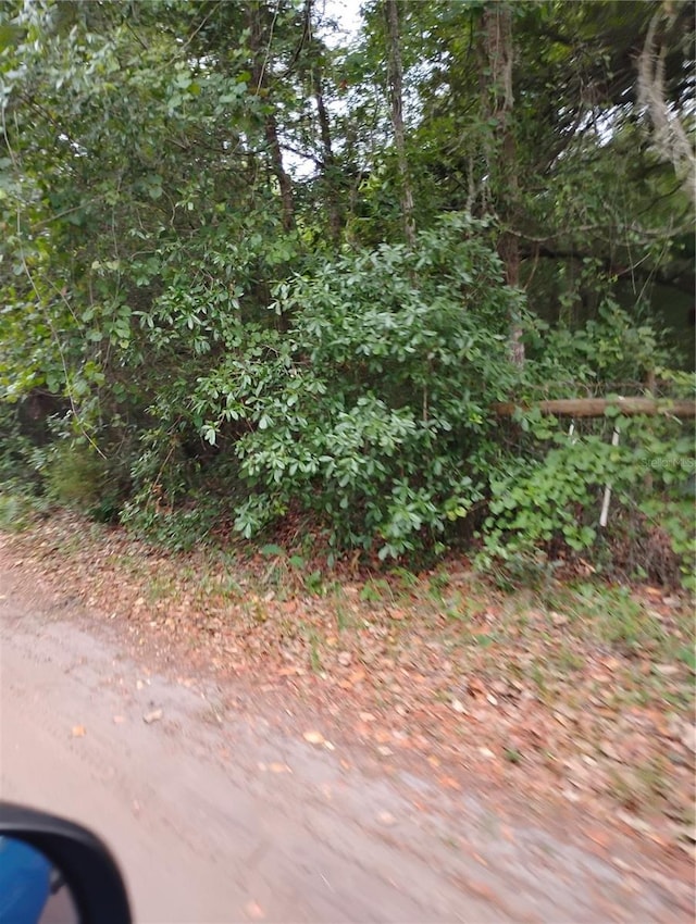 146th Pl, Fort Mc Coy, FL 32134