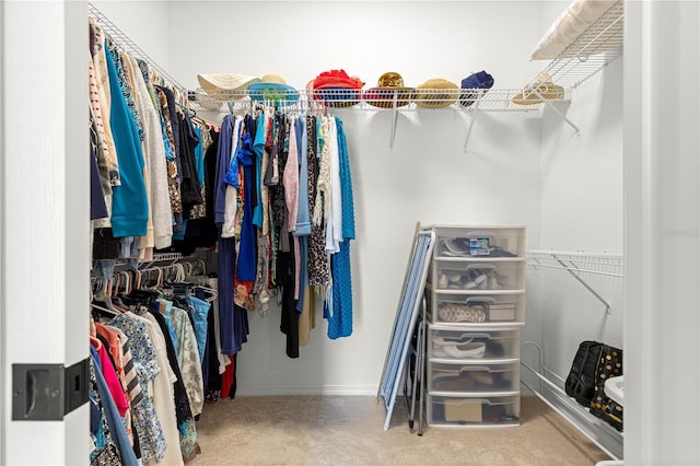 11215 SE 172nd Pl, Summerfield, FL 34491 - spacious closet with carpet flooring