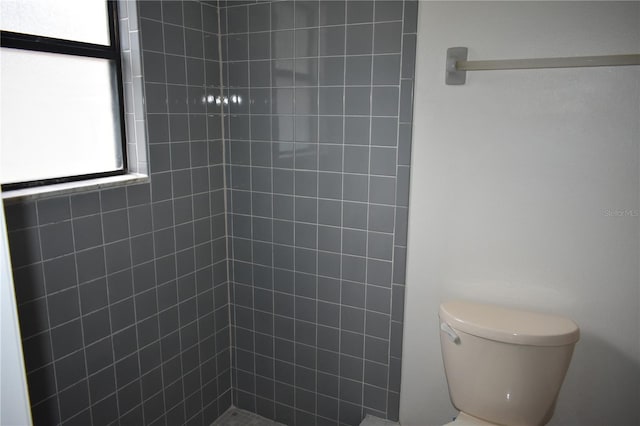 610 Swallow Ct, Apopka, FL 32712 - bathroom with toilet and tiled shower