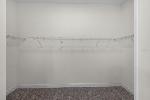 9220 San Jose Blvd, Howey In The Hills, FL 34737 - walk in closet with carpet flooring