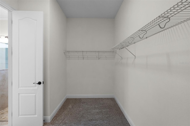 9220 San Jose Blvd, Howey In The Hills, FL 34737 - spacious closet with carpet flooring