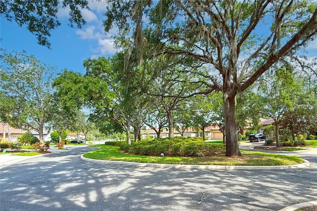 9220 San Jose Blvd, Howey In The Hills, FL 34737 - view of asphalt street featuring curbs and a residential view