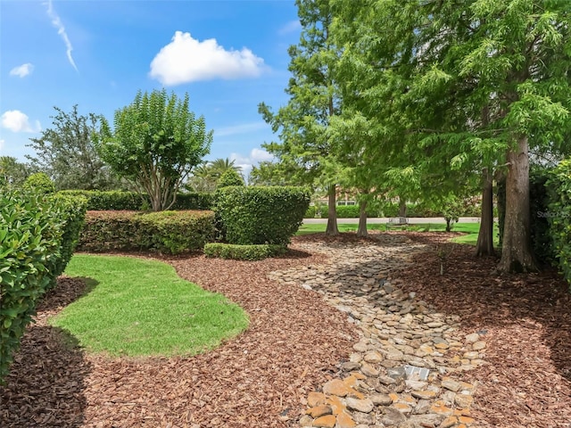 654 Poinsett Ct, The Villages, FL 32162 - view of yard
