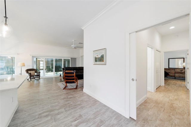 3769 Causey Ct, The Villages, FL 32163 - hall with light wood-style flooring, baseboards, and recessed lighting