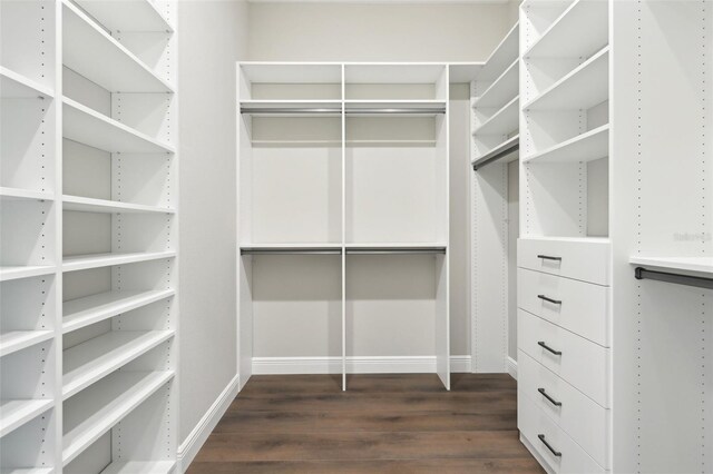 1127 Fiesta Key Cir, Lady Lake, FL 32159 - spacious closet with dark wood-type flooring