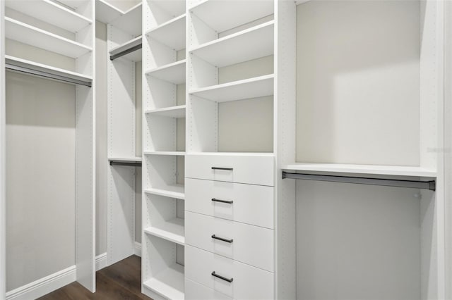 1127 Fiesta Key Cir, Lady Lake, FL 32159 - walk in closet featuring dark wood-type flooring