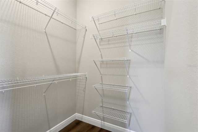 1127 Fiesta Key Cir, Lady Lake, FL 32159 - walk in closet with dark wood finished floors