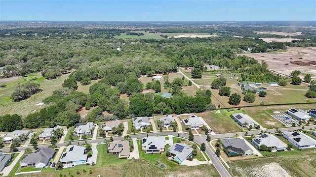 1127 Fiesta Key Cir, Lady Lake, FL 32159 - aerial perspective of suburban area