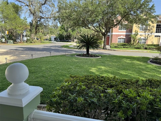 1339 Orchid Ave, Winter Park, FL 32789 - photo 7