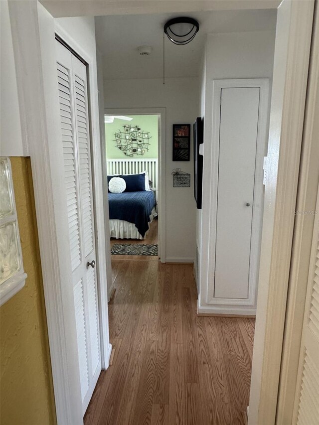 1339 Orchid Ave, Winter Park, FL 32789 - photo 31