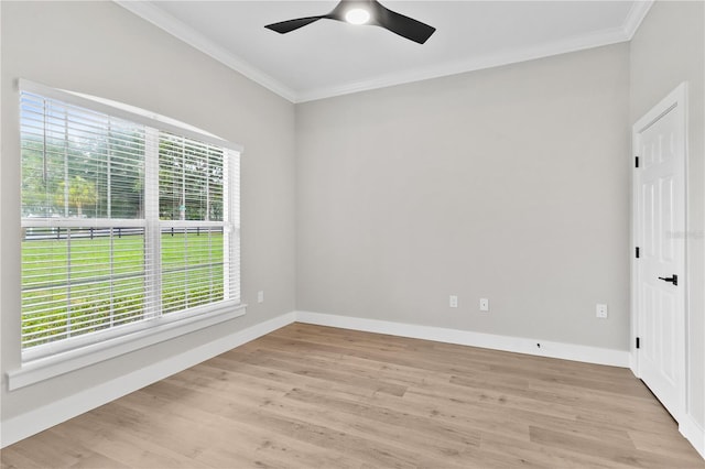 12913 County Road 104b, Oxford, FL 34484 - photo 5