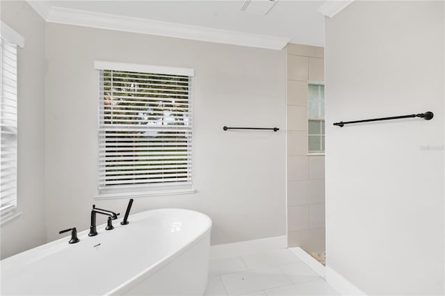 12913 County Road 104b, Oxford, FL 34484 - photo 29