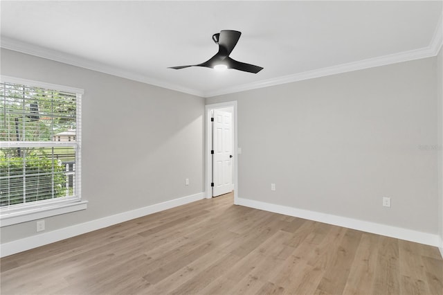 12913 County Road 104b, Oxford, FL 34484 - photo 34