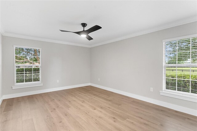 12913 County Road 104b, Oxford, FL 34484 - photo 41