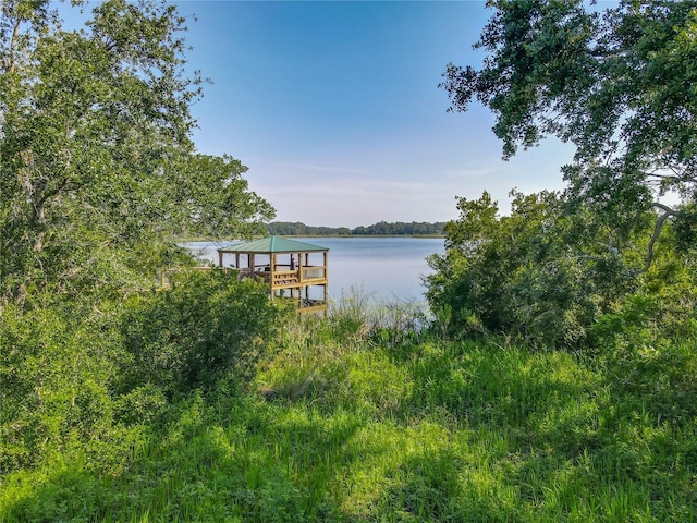 124 Juno Dr, Groveland, FL 34736 - photo 38