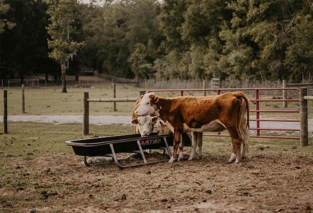18142 Powerline Rd, Dade City, FL 33523 - horse barn with a view of rural / pastoral area and a view of trees