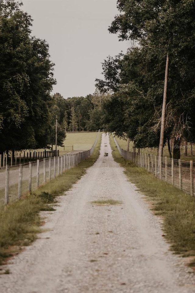 18142 Powerline Rd, Dade City, FL 33523 - view of street featuring a wooded view