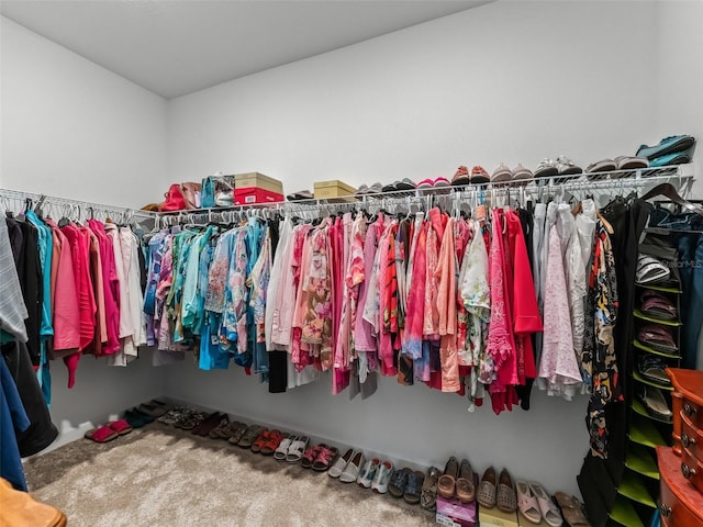 17108 SE 111th Terrace Rd, Summerfield, FL 34491 - spacious closet with carpet floors