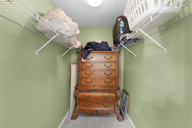 9321 SE 172nd Augusta Ln, The Villages, FL 32162 - spacious closet featuring carpet floors