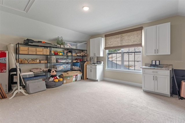 9512 Mid Summer Ln, Leesburg, FL 34788 - view of storage