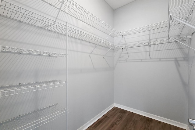 997 Oscar Ln, The Villages, FL 32162 - walk in closet featuring wood finished floors