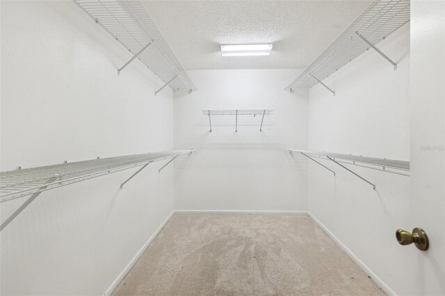 1011 Dundee Cir, Leesburg, FL 34788 - spacious closet with light carpet