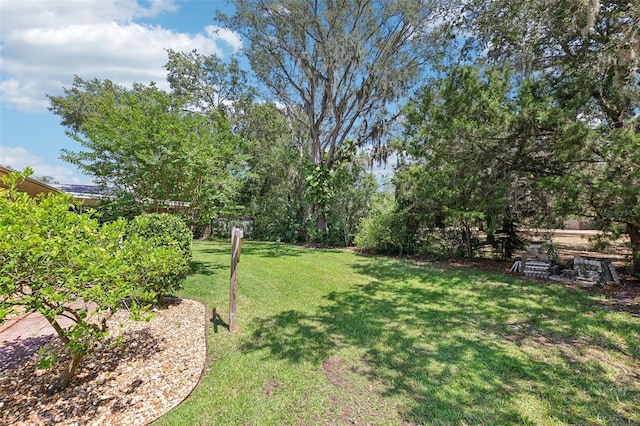 1011 Dundee Cir, Leesburg, FL 34788 - view of grassy yard