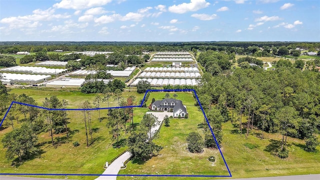 35449 Pinegate Trl, Eustis, FL 32736 - aerial overview of property's location with property parcel outlined