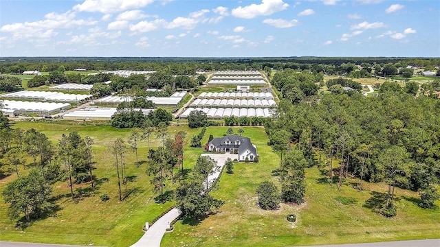 35449 Pinegate Trl, Eustis, FL 32736 - bird's eye view