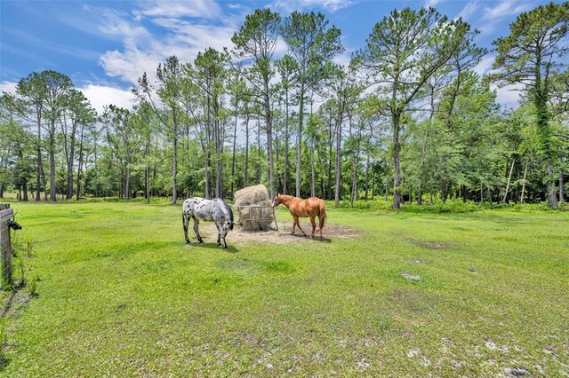 21320 Paradise Way, Eustis, FL 32736 - view of grassy yard