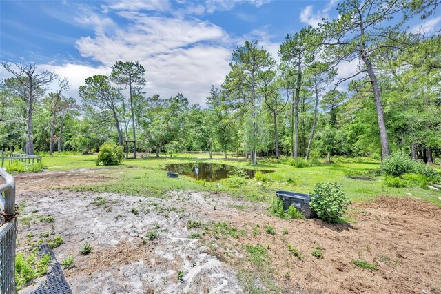 21320 Paradise Way, Eustis, FL 32736 - view of yard