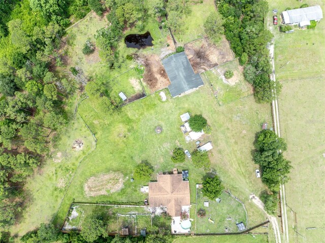 21320 Paradise Way, Eustis, FL 32736 - bird's eye view