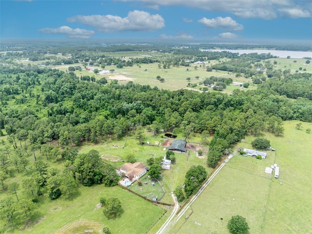 21320 Paradise Way, Eustis, FL 32736 - aerial overview of property's location with a large body of water