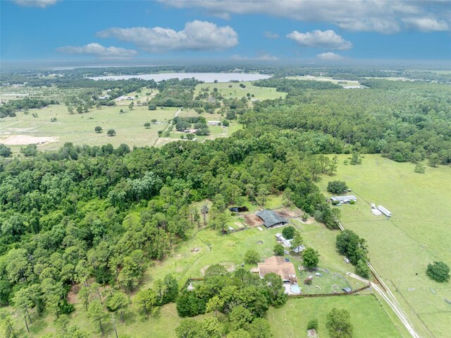 21320 Paradise Way, Eustis, FL 32736 - view of property location featuring a large body of water and a heavily wooded area