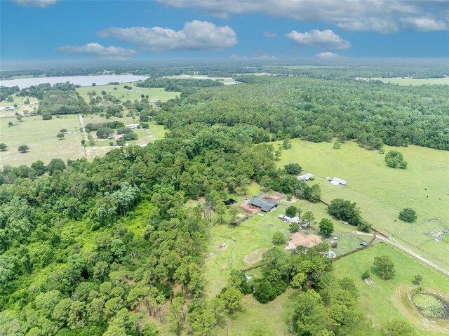 21320 Paradise Way, Eustis, FL 32736 - aerial view of property and surrounding area with a forest, a nearby body of water, and rural landscape